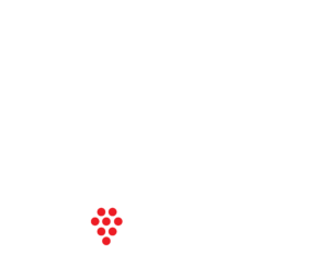 RIDEL logo in white and red