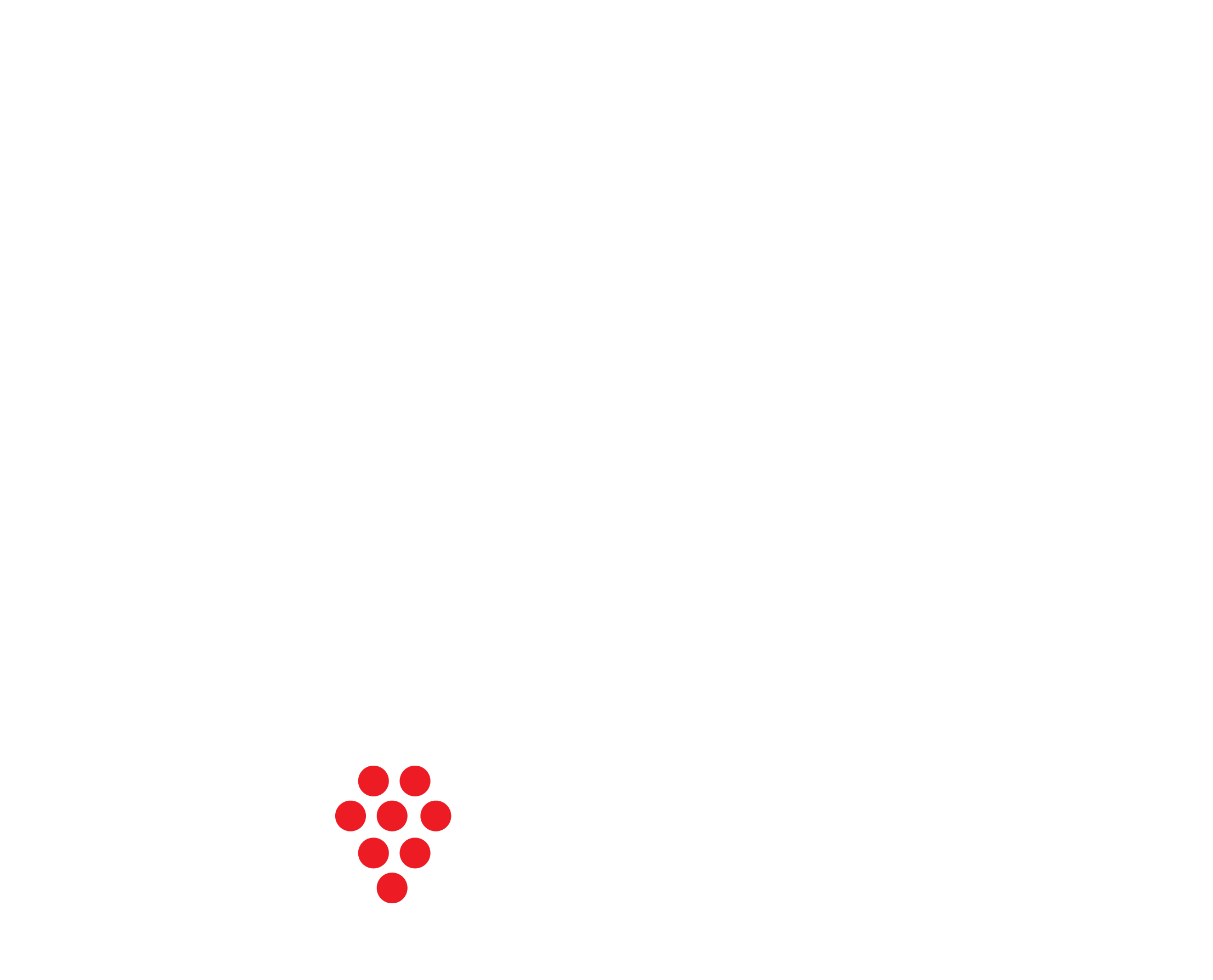 RIDEL logo in white and red