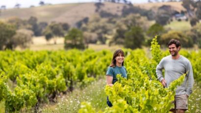 HUGO WINES