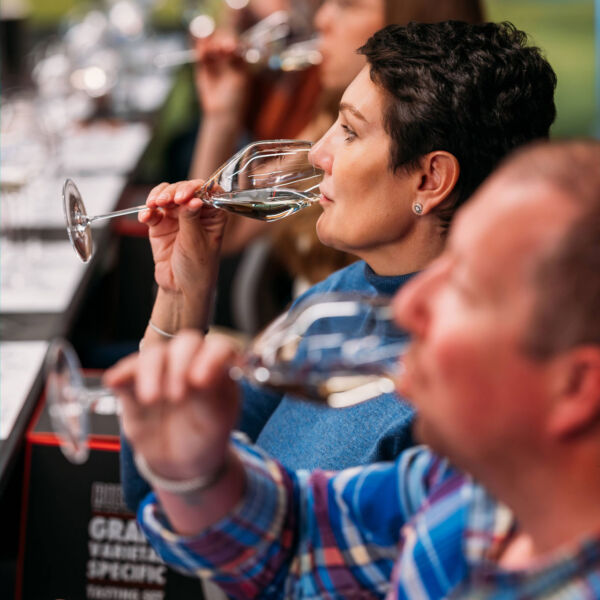 RIEDEL WINE GLASS EXPERIENCE