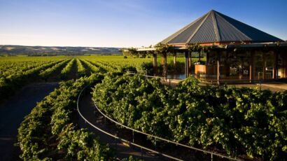 Hugh Hamilton Wines