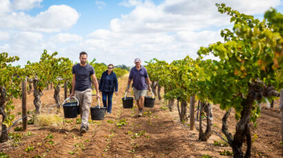 Atzes Corner Wines