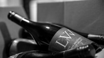 Lambs Valley Wines