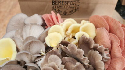 GFWS Beresford